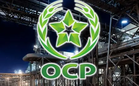 OCP Group enregistre une croissance de 17% de son chiffre d’affaires en 2025 grâce à la reprise de la demande mondiale