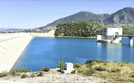 أمطار الخير الأخيرة تعزز المخزون المائي لعدد من سدود المملكة