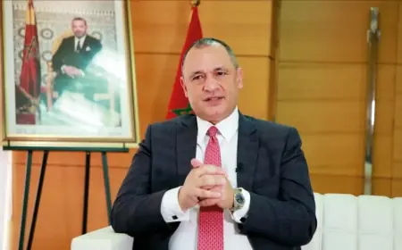 تصريح “طاحنينكم بـ5 لزيرو” عن رجال الأعمال المغاربة يثير الجدل ويجر على الوزير مزور انتقادات واسعة