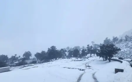 نشرة إنذارية.. ثلوج كثيفة مرتقبة بعدد من أقاليم المملكة ابتداءً من الثلاثاء