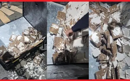 إحباط تهريب طن و140 كيلوغرام من الشيرا بميناء طنجة المتوسط