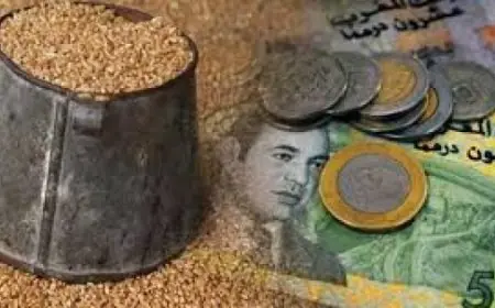 تحديد قيمة زكاة الفطر لعام 1446هـ في 23 درهماً نقداً و2.5 كلغ من الحبوب