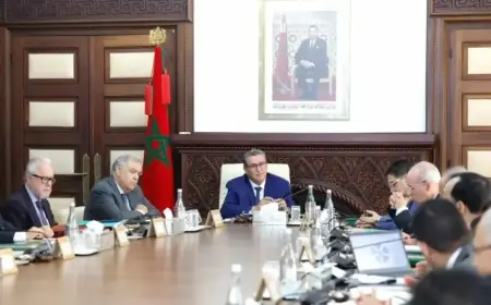 مجلس الحكومة يصادق على مشروع مرسوم يتعلق بالصيد في المجاري المائية وحقينات السدود