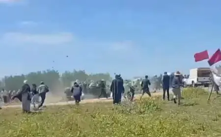 قلعة السراغنة.. مواجهات بين السكان والقوات العمومية خلال تنفيذ حكم قضائي لفتح طريق نحو مقلع