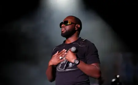 القضاء الفرنسي يقرر إطلاق سراح مغني الراب"جيمس" مع استمرار متابعته قضائياً