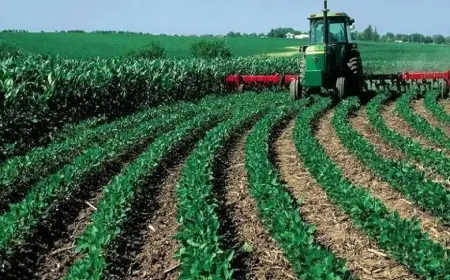 Le Maroc remporte la médaille d'or de la revue de Malabo pour son développement agricole