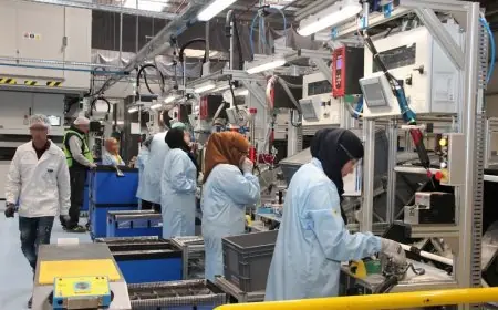 إحداث أزيد من 7 آلاف مقاولة جديدة بالمغرب خلال يناير 2026