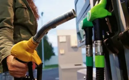 دعت لاجتماع عاجل.. فرق الأغلبية البرلمانية تجر ليلى بنعلي للمساءلة البرلمانية بسبب ارتفاع أسعار المحروقات