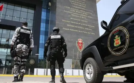 Le Maroc joue un rôle déterminant dans la lutte contre le trafic d'armes et le narcotrafic