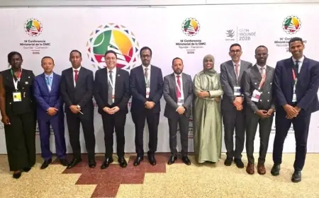 Le Maroc et le Cameroun renforcent leur partenariat économique