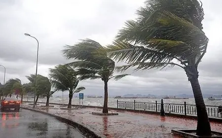 نشرة إنذارية .. رياح قوية وطقس بارد بعدد من مناطق المغرب