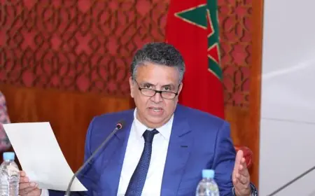 عبد اللطيف وهبي يحذر من ترويج 100 مليار درهم خارج الدورة الاقتصادية ويدعو لإصلاح منظومة الخبرة القضائية