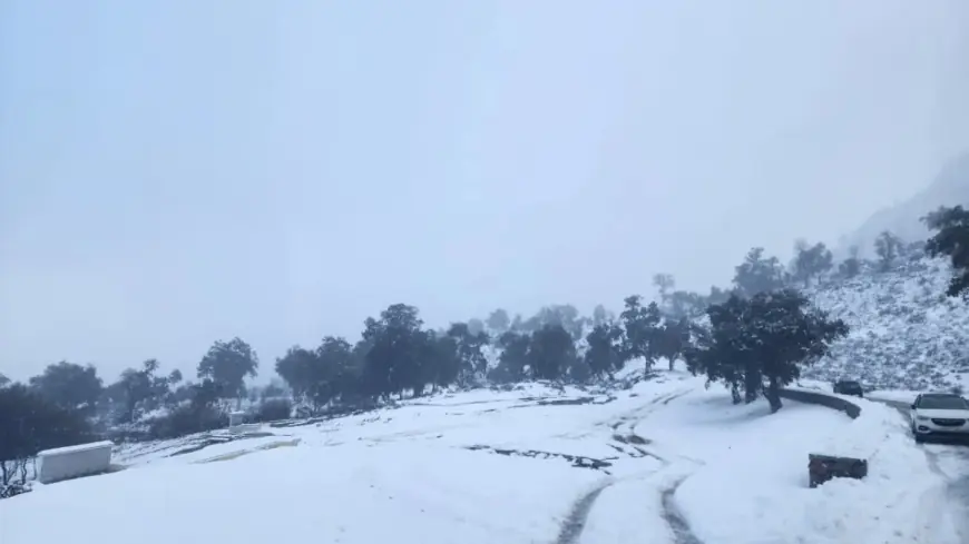 نشرة إنذارية.. ثلوج كثيفة مرتقبة بعدد من أقاليم المملكة ابتداءً من الثلاثاء