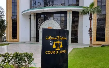 طنجة.. الحكم بالسجن على "مولينكس" و "أم آدم" ب 6 سنوات سجنا نافذا