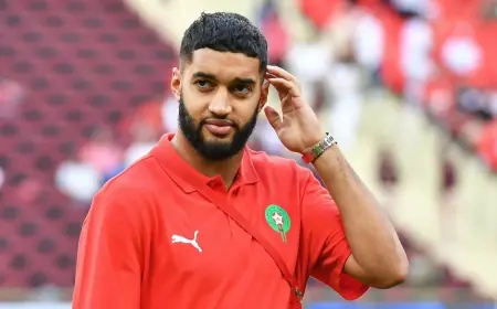إسماعيل صيباري يقدم اعتذاره للمغاربة: إعجابي بالمنشور كان عن طريق الخطأ