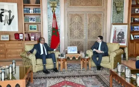 Le Maroc renforce sa coopération avec l'Union africaine