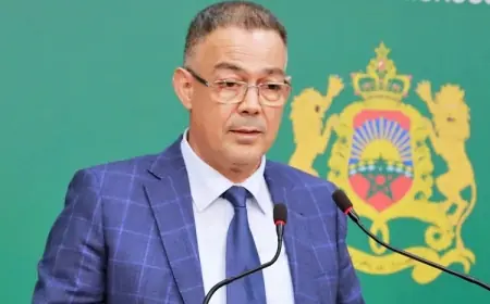 لقجع: الدولة ستتحمل 78 درهما لدعم قنينة الغاز للحفاظ على الأسعار