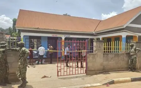 مقتل 4 أطفال طعناً داخل روضة أطفال في أوغندا