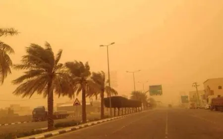 نشرة إنذارية.. رياح قوية محملة بالغبار تضرب عدة مناطق بالمغرب