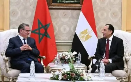 أخنوش: المغرب ومصر عازمان على إعطاء دفعة جديدة لعلاقاتهما الثنائية
