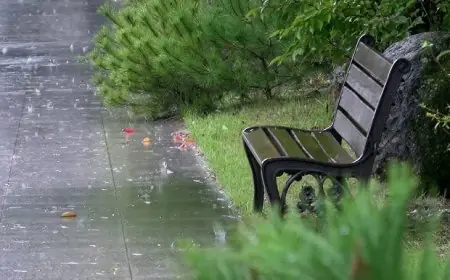 نشرة إنذارية.. زخات رعدية ورياح قوية مرتقبة بعدد من مناطق المملكة