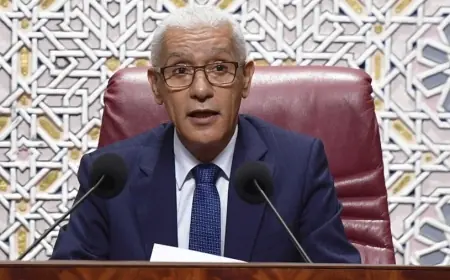 الطالبي العلمي يمثل الملك محمد السادس في القمة الدولية "صحة واحدة" بليون