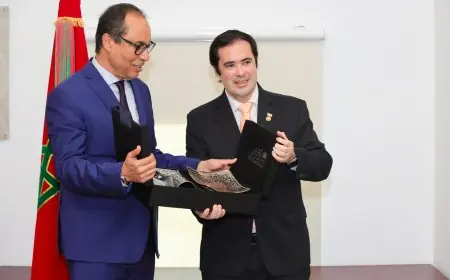 Rencontre entre le Conseil économique social et environnemental et le Parlement du Mercosur