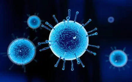 Détection en Italie du premier cas européen importé de grippe aviaire A(H9) chez un voyageur