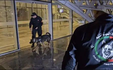 المديرية العامة للأمن الوطني تدرّب عناصر أمن من مالي على تقنيات الكلاب البوليسية