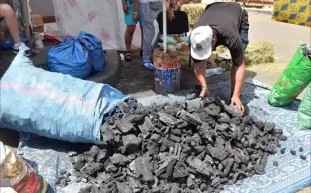 ارتفاع متواصل لأسعار الفحم في الأسواق المغربية مع اقتراب عيد الأضحى