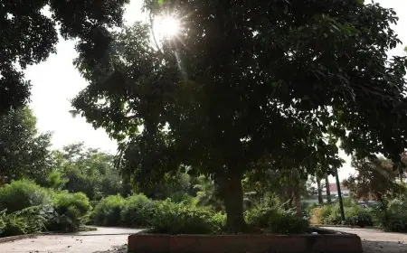 توقعات أحوال الطقس اليوم الثلاثاء بالمغرب