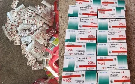 إجهاض محاولة لتهريب آلاف الأقراص المخدرة بميناء الناظور وتوقيف شخص