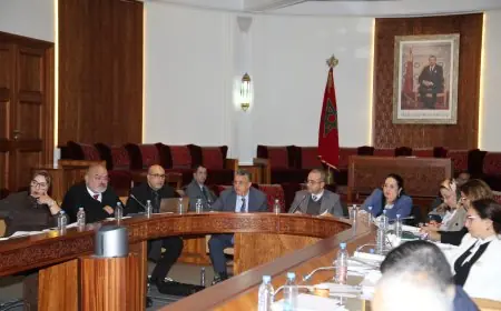 وهبي يقدم إصلاحا شاملا لمهنة المحاماة ويقترح ولاية واحدة للنقباء