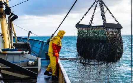 تراجع مفرغات الصيد بميناء الناظور بنسبة 24 في المائة