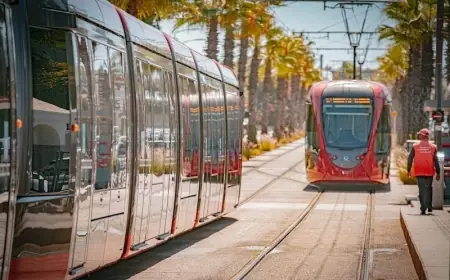 الدار البيضاء.. حادث سير يوقف حركة الخط الأول للترامواي