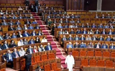 مذكرة ترافعية تدعو لإشراك الجمعيات في صناعة القوانين بالمغرب