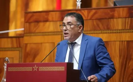 حموني ينتقد ضعف أثر الدعم الحكومي على المواطنين