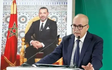 البواري: القطاع الحيواني يساهم بـ 35% من الناتج الفلاحي ويمثل عماد الاقتصاد القروي