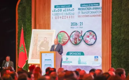 À Meknès, le ministre portugais de l’Agriculture salue le modèle marocain de développement agricole durable