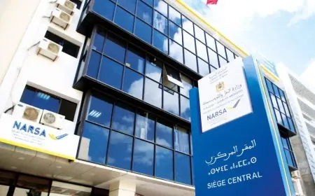 يهم السائقين بالمغرب.. نارسا تحذر من مخاطر تركيب مصابيح ليد في السيارات