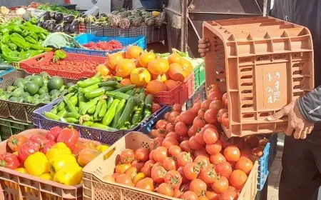 أسعار الخضر تواصل الارتفاع بالمغرب