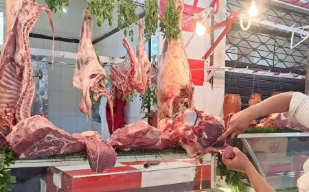 ارتفاع أسعار اللحوم الحمراء واستنزاف القطيع الوطني يسائل وزير الفلاحة
