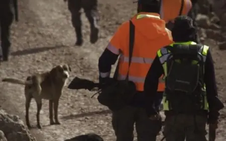 حملة ميدانية واسعة لإحاشة الخنزير البري بمنطقة أيت زغار بورزازات