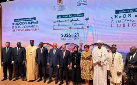 Meknès accueille une nouvelle réunion du comité agricole mixte Maroc France pour lancer une étape de coopération renforcée