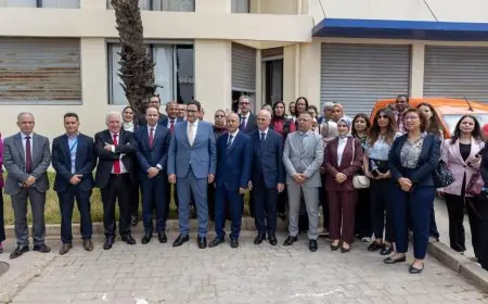 وزارة النقل وبريد المغرب يطلقان عملية عصرنة توزيع رخص السياقة وشهادات تسجيل المركبات