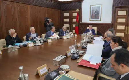 مجلس الحكومة يصادق على مشروع قانون مدونة الأدوية ووضعية طلبة الطب