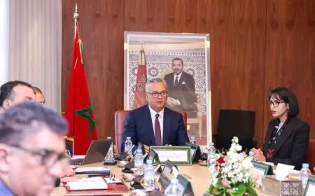 كريم زيدان يعين مستشارة من ديوانه مديرة عامة بوزارة الاستثمار ويثير الجدل