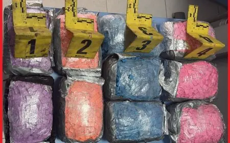 إحباط محاولة تهريب 19 ألف قرص مهلوس بميناء طنجة المتوسط