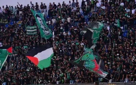 الرجاء يقر نظامًا جديدًا لولوج الجماهير إلى الملعب لمواجهة السوق السوداء والتلاعب بالتذاكر