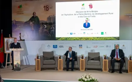 البواري يترأس لقاءً حول التكوين الفلاحي بمكناس ضمن معرض SIAM 2026